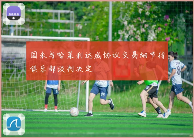 国米与哈莱利达成协议交易细节待俱乐部谈判决定