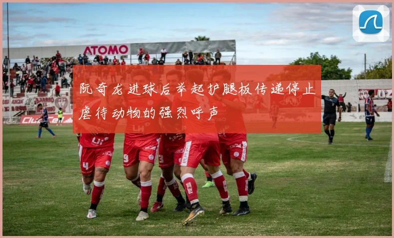 阮奇龙进球后举起护腿板传递停止虐待动物的强烈呼声